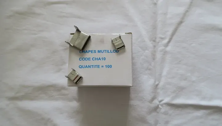 Chape et boucle inox à France